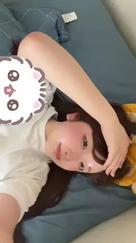 たぬきのTikTok投稿