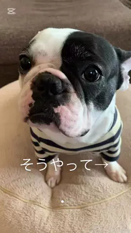 rumibetty358のTikTok投稿