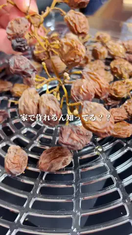 ごっとん🐽のTikTok投稿
