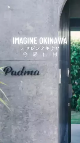 zuenmeiのTikTok投稿