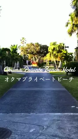 zuenmeiのTikTok投稿