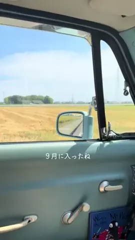 Y uのTikTok投稿