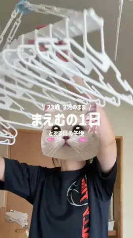 🐰まえむ🐰【マフユーズ】のTikTok投稿