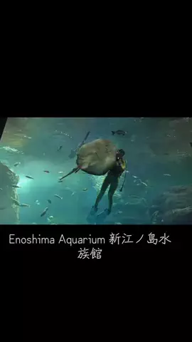 EDM Chill Bass 8DのTikTok投稿