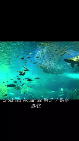 EDM Chill Bass 8DのTikTok投稿