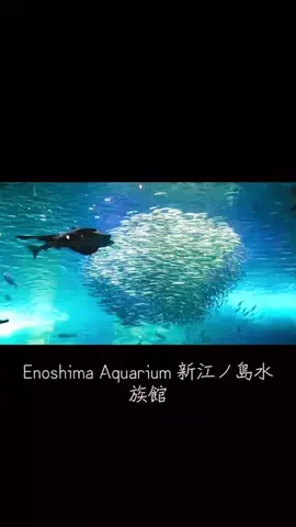 EDM Chill Bass 8DのTikTok投稿