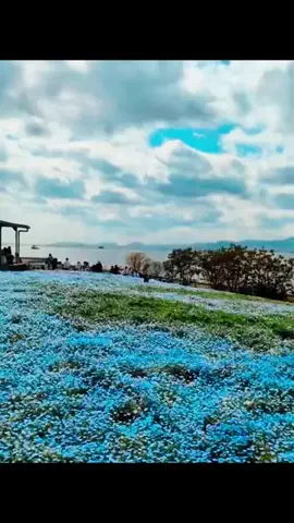 EDM Chill Bass 8DのTikTok投稿