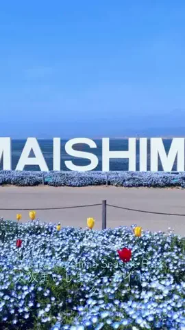 EDM Chill Bass 8DのTikTok投稿