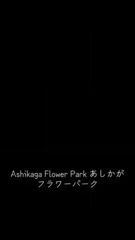 EDM Chill Bass 8DのTikTok投稿