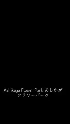 EDM Chill Bass 8DのTikTok投稿