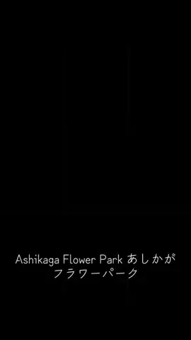 EDM Chill Bass 8DのTikTok投稿