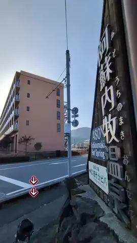トアンもん　チャンネルのTikTok投稿