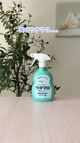 ぬい𓅮ちょいラクするための暮らしメモのTikTok投稿