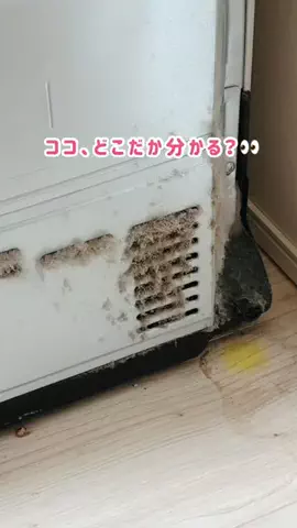 ぬい𓅮ちょいラクするための暮らしメモのTikTok投稿