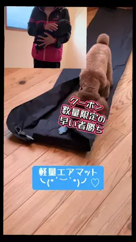 kurun1122のTikTok投稿
