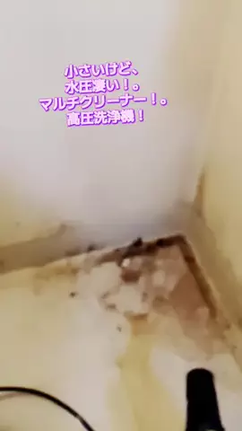 にゃんコロンちゃん♪のTikTok投稿