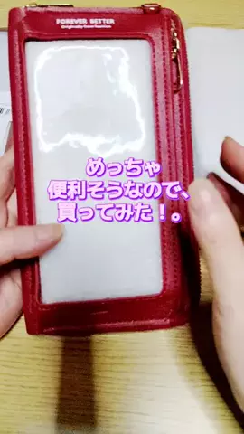にゃんコロンちゃん♪のTikTok投稿