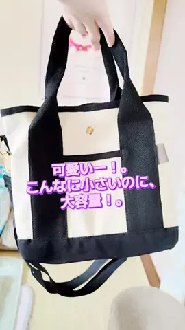 にゃんコロンちゃん♪のTikTok投稿