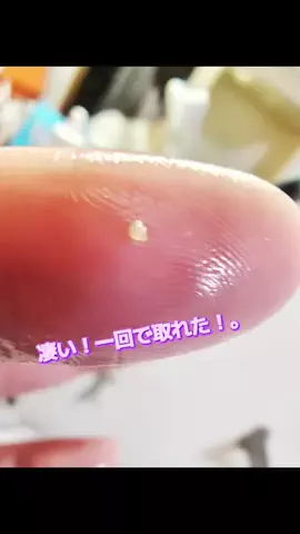 にゃんコロンちゃん♪のTikTok投稿
