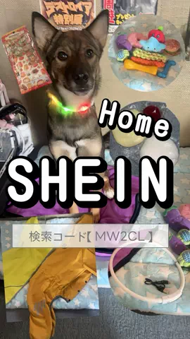 LocamiiiのTikTok投稿