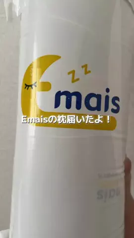短足ダックスとポンコツママ🐶🍫のTikTok投稿