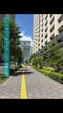 50歳社長のリアル1人飯のTikTok投稿