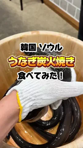 やっせんぼー⌇中国出向🇨🇳のTikTok投稿