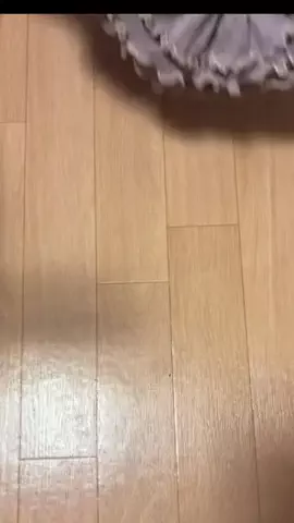 小籠包ちゃんのTikTok投稿