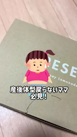 小籠包ちゃんのTikTok投稿