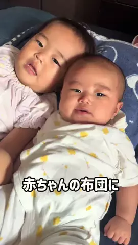小籠包ちゃんのTikTok投稿