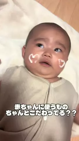 小籠包ちゃんのTikTok投稿
