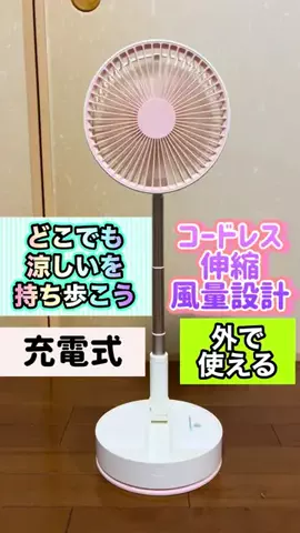 キラリンwithハチワレ猫🐈🐈のTikTok投稿