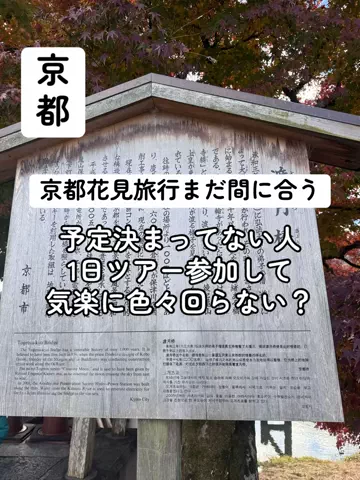 37歳おっさん旅垢のTikTok投稿