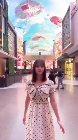 ぽんず🧊🐈🥇ありがとう🫶🏻のTikTok投稿