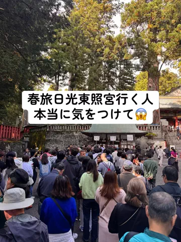 37歳おっさん旅垢のTikTok投稿