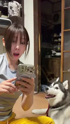 もえまつの森🌳💥のTikTok投稿