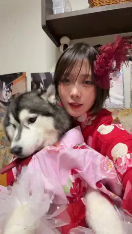 もえまつの森🌳💥のTikTok投稿