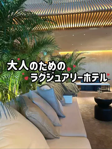 うさぎさんのみみのTikTok投稿