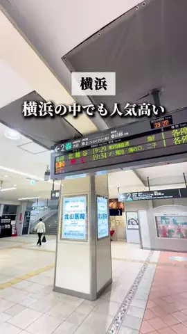 横浜グルメ・神奈川グルメのTikTok投稿