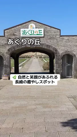 ぷりんのTikTok投稿