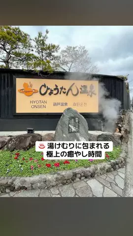 ぷりんのTikTok投稿