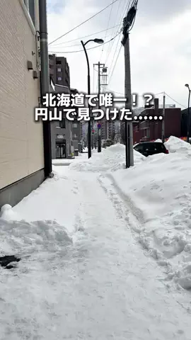 りこモグのTikTok投稿