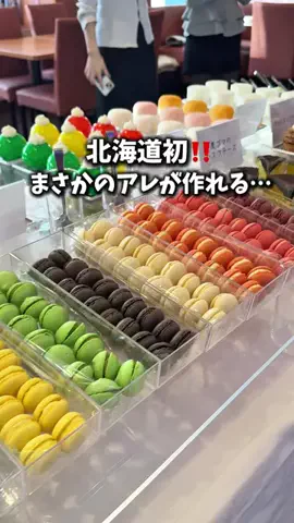 りこモグのTikTok投稿