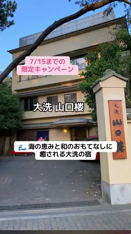 ぷりんのTikTok投稿