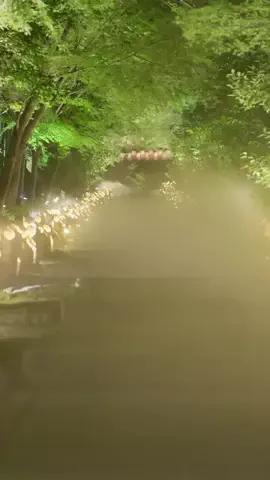tom.japanfilmのTikTok投稿