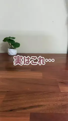 iPhoneママのTikTok投稿