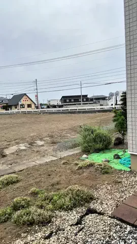 【脱毛】RenatusBeautyLounge太田店のTikTok投稿