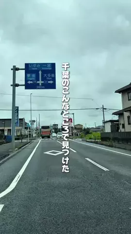 chibaken.lanchのTikTok投稿