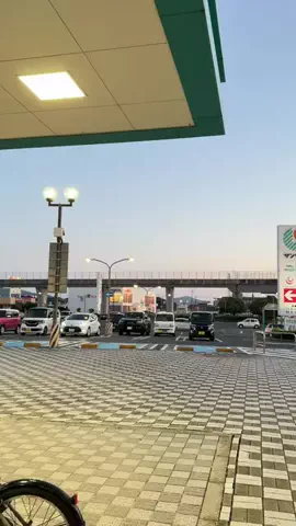 EL CaeliのTikTok投稿