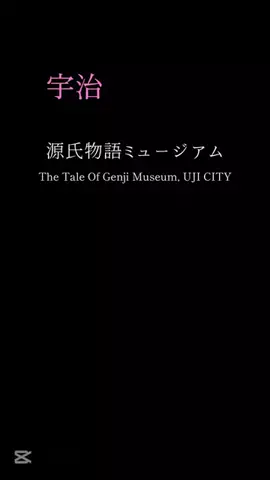 京都コンシェル❀めぐみ❀のTikTok投稿